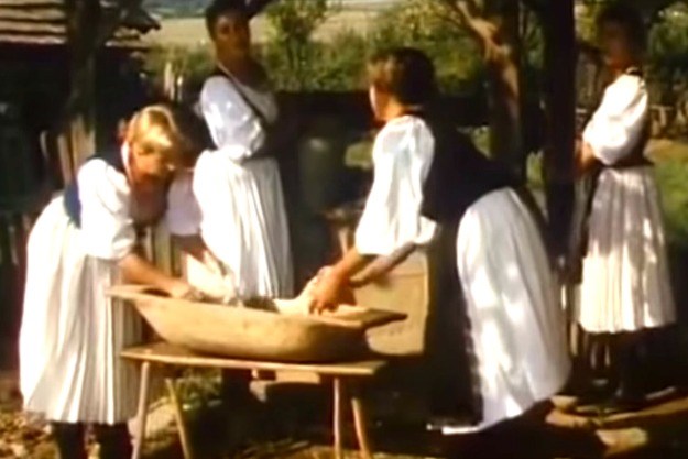 30 stvari koje dokazuju da ste Slaven